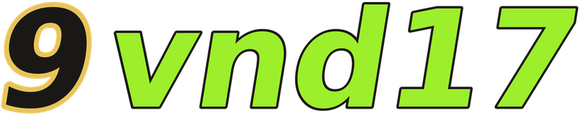 9vnd17 logo